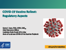 Watch The Vaccine Rollout- Regulatory Aspects Video