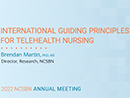 Watch International Guiding Principles for Telehealth Nursing Video