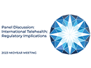 Watch Panel Discussion: International Telehealth: Regulatory Implications Video